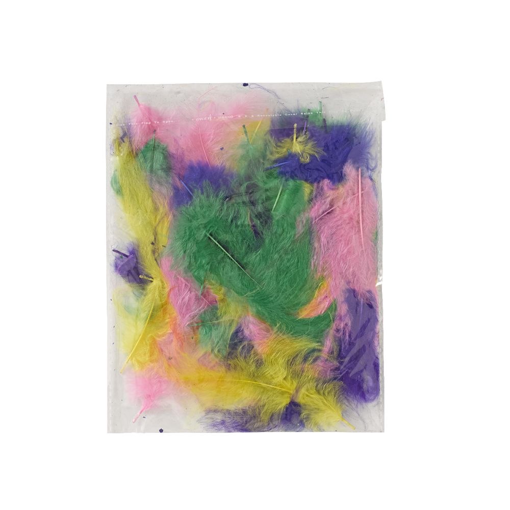 Jasart Feathers Small Assorted 50 Pack