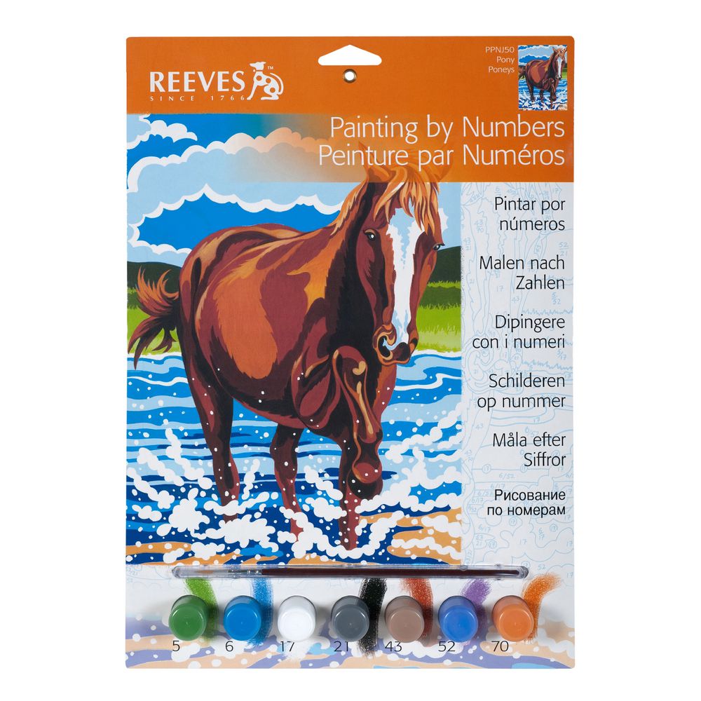 Reeves Artist Collection Paint by Numbers Pony