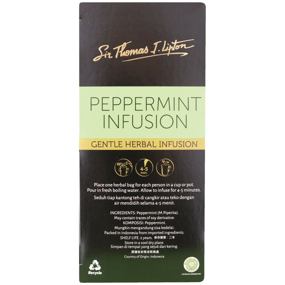 Aggregate 122+ peppermint tea bags super hot esthdonghoadian