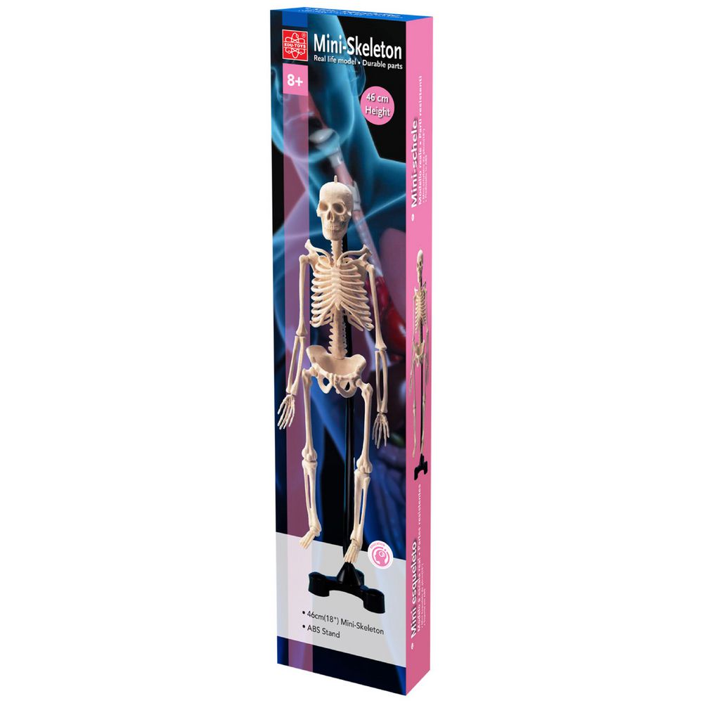 Fandex Mini Skeleton
