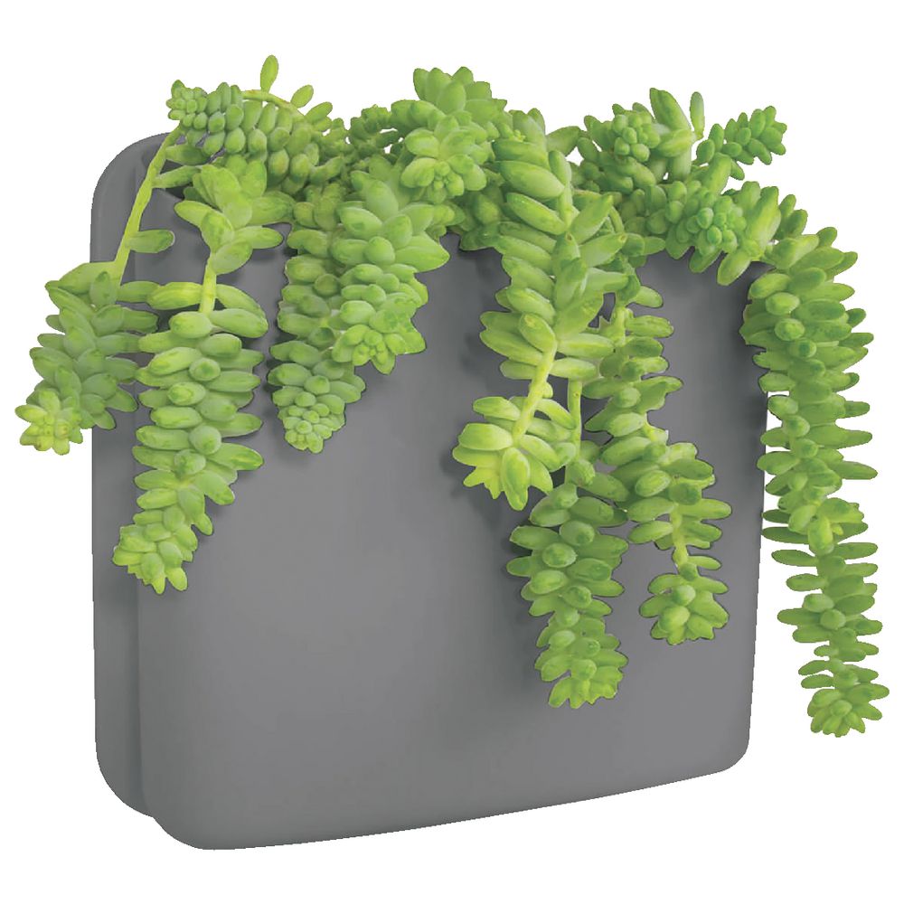 Perch Biggy Slate