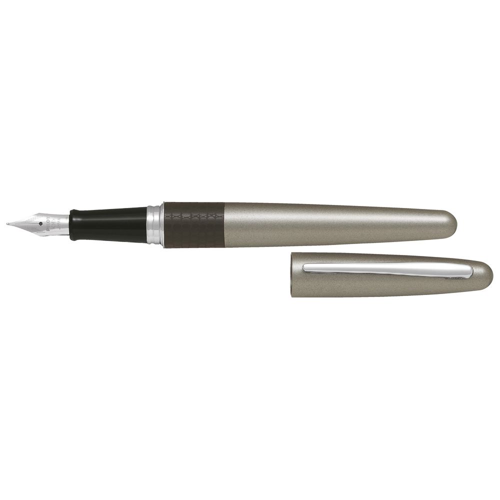 Pilot MR2 Fountain Pen Lizard