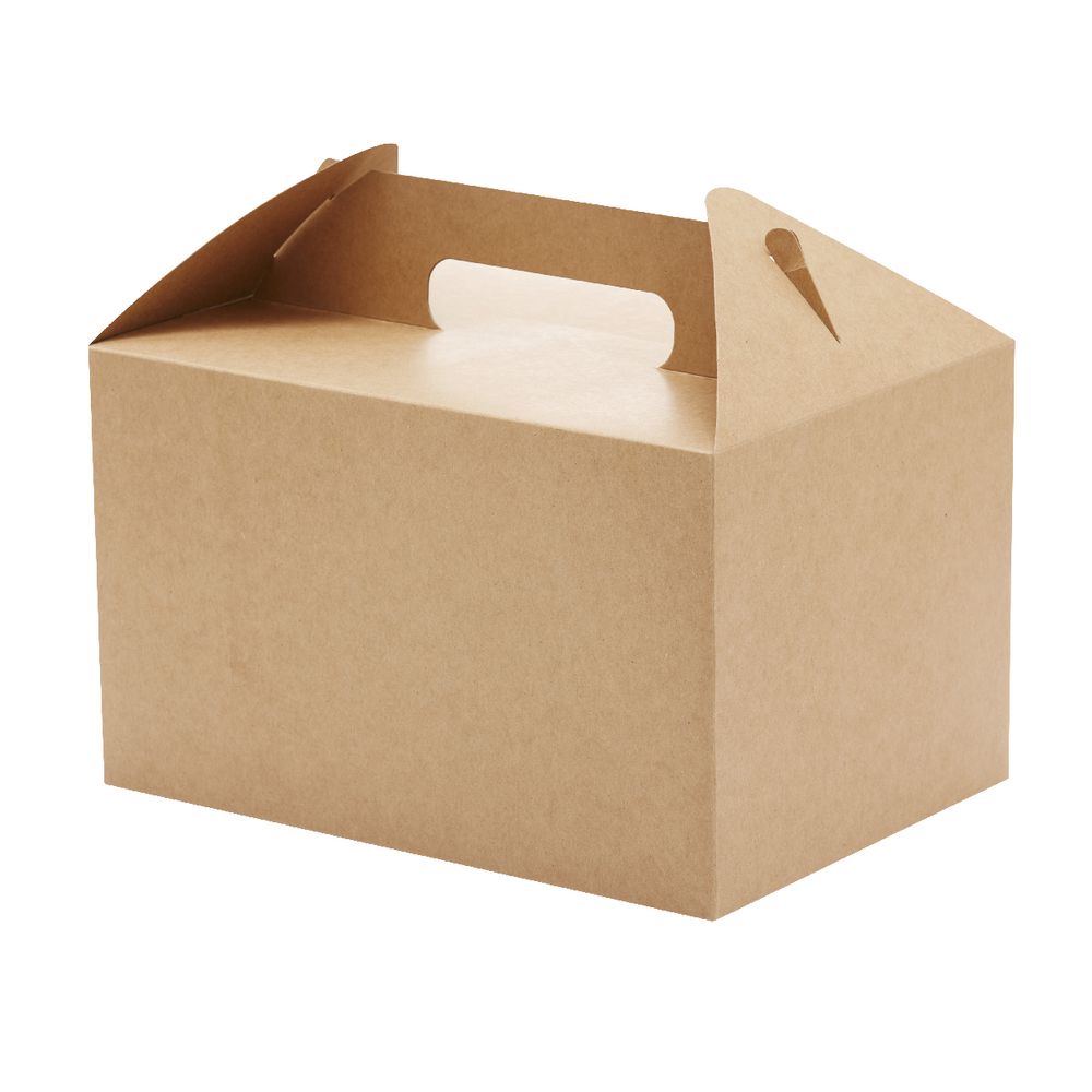 Large Carry Pack 175 x 150 x 250mm