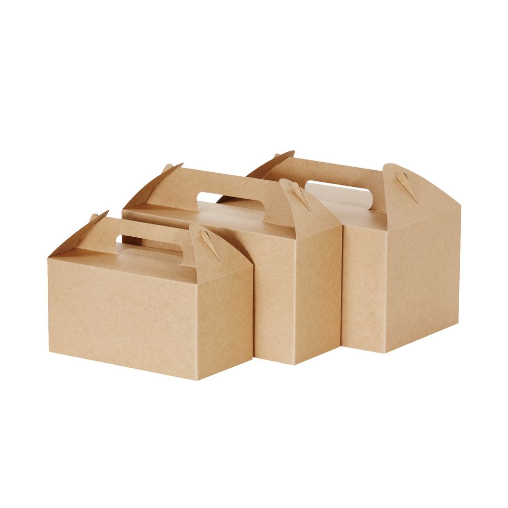 Large Carry Pack 175 x 150 x 250mm