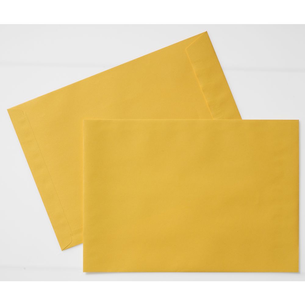 PPS Plainface C4 Envelopes Kraft 100 Pack
