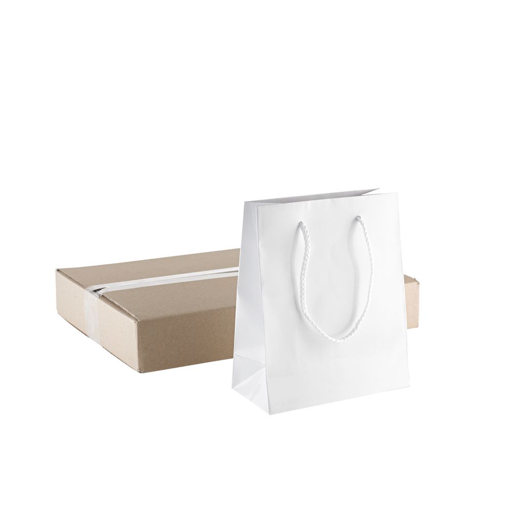 Glossy White Small Gift Bag 30 Pack