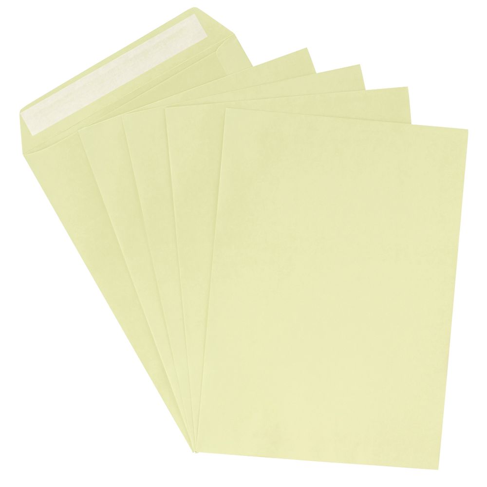 PPS C4 Printed Coloured Envelopes Lily Green 10 Pack