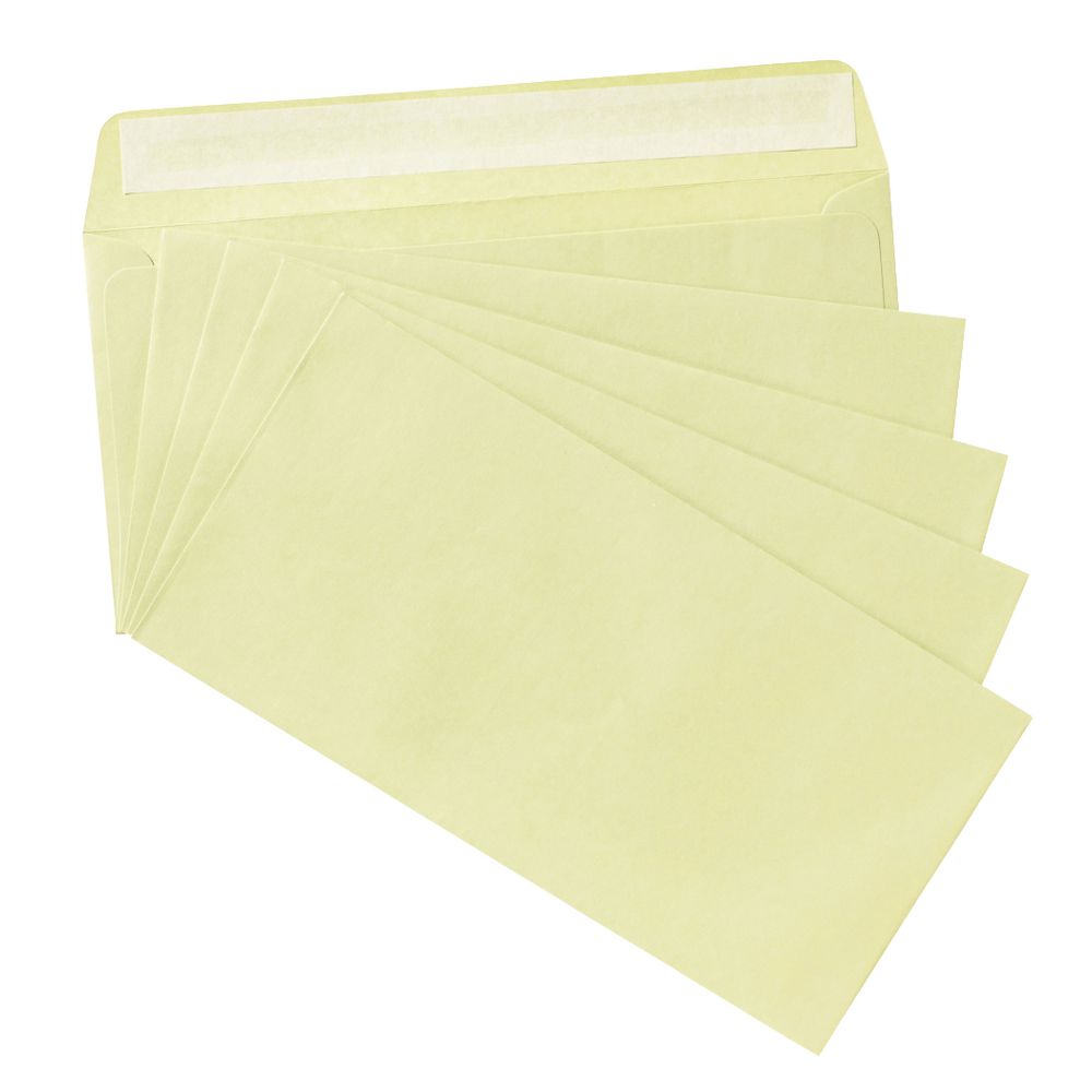 PPS DL Printed Coloured Envelopes Lily Green 10 Pack