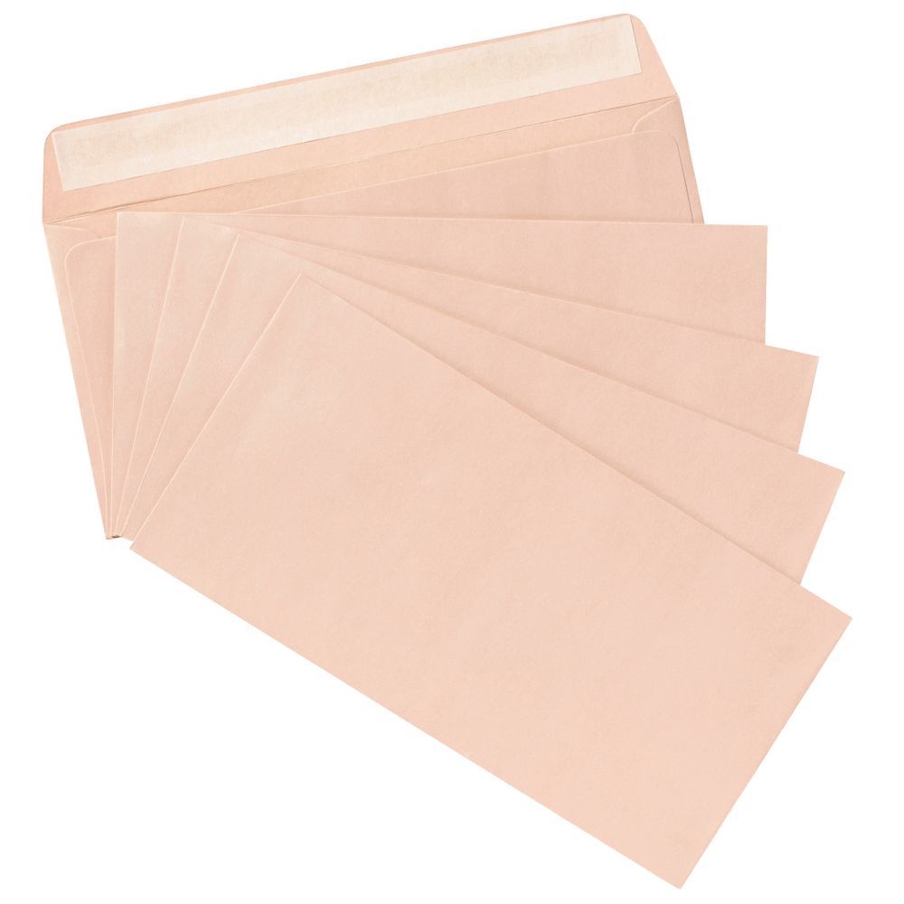 PPS DL Printed Coloured Envelopes Scallop Shell 10 Pack