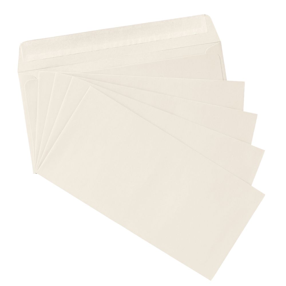 PPS DL Printed Coloured Envelopes Bone White 10 Pack