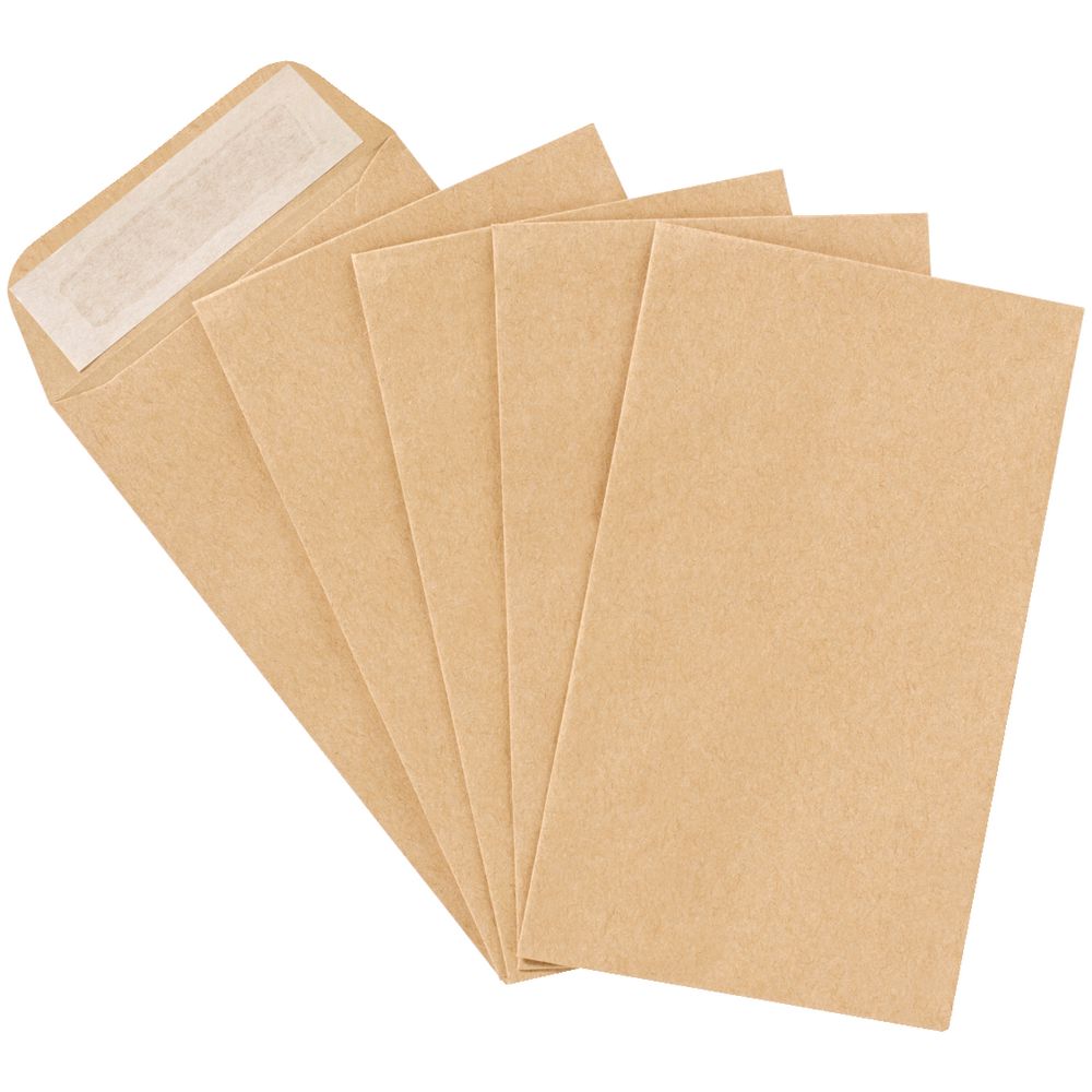 PPS Size 6 Manila Seed 100% Recycled Envelopes 100 Pack