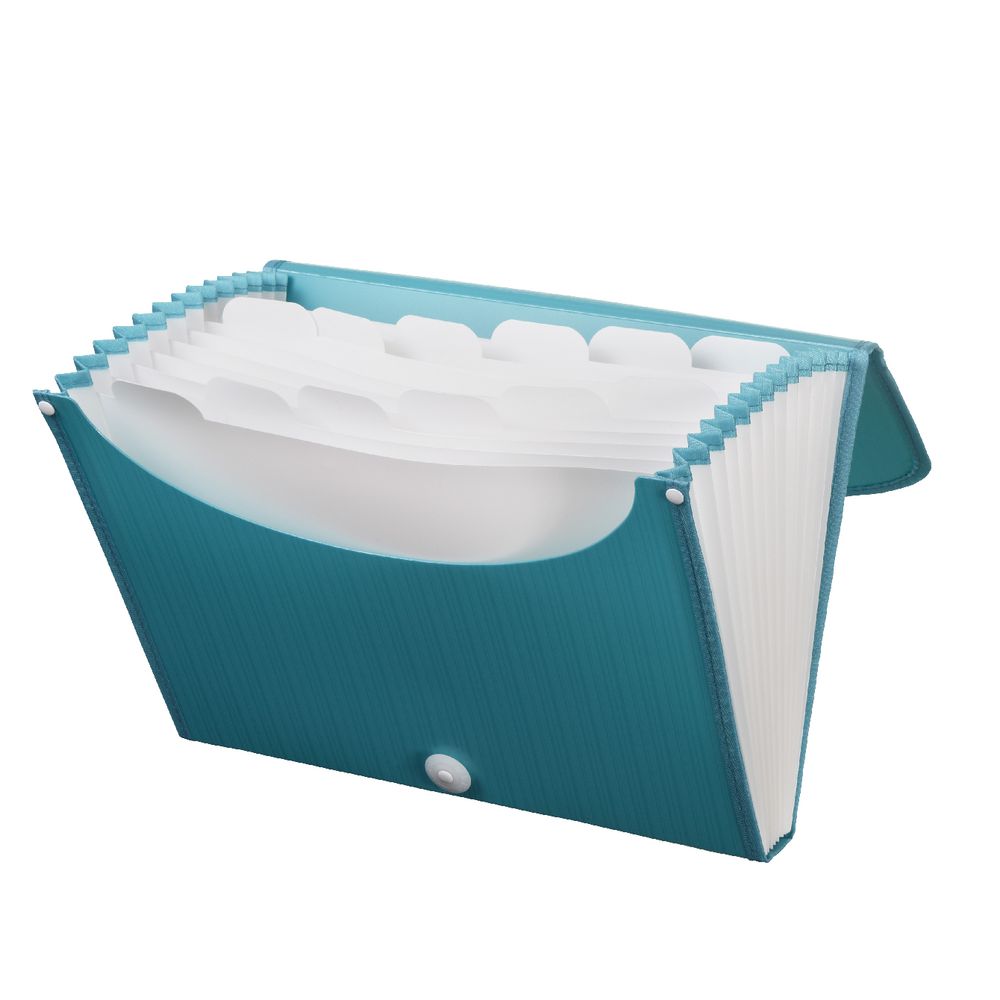 Expanding File A4 13 Pocket Blue