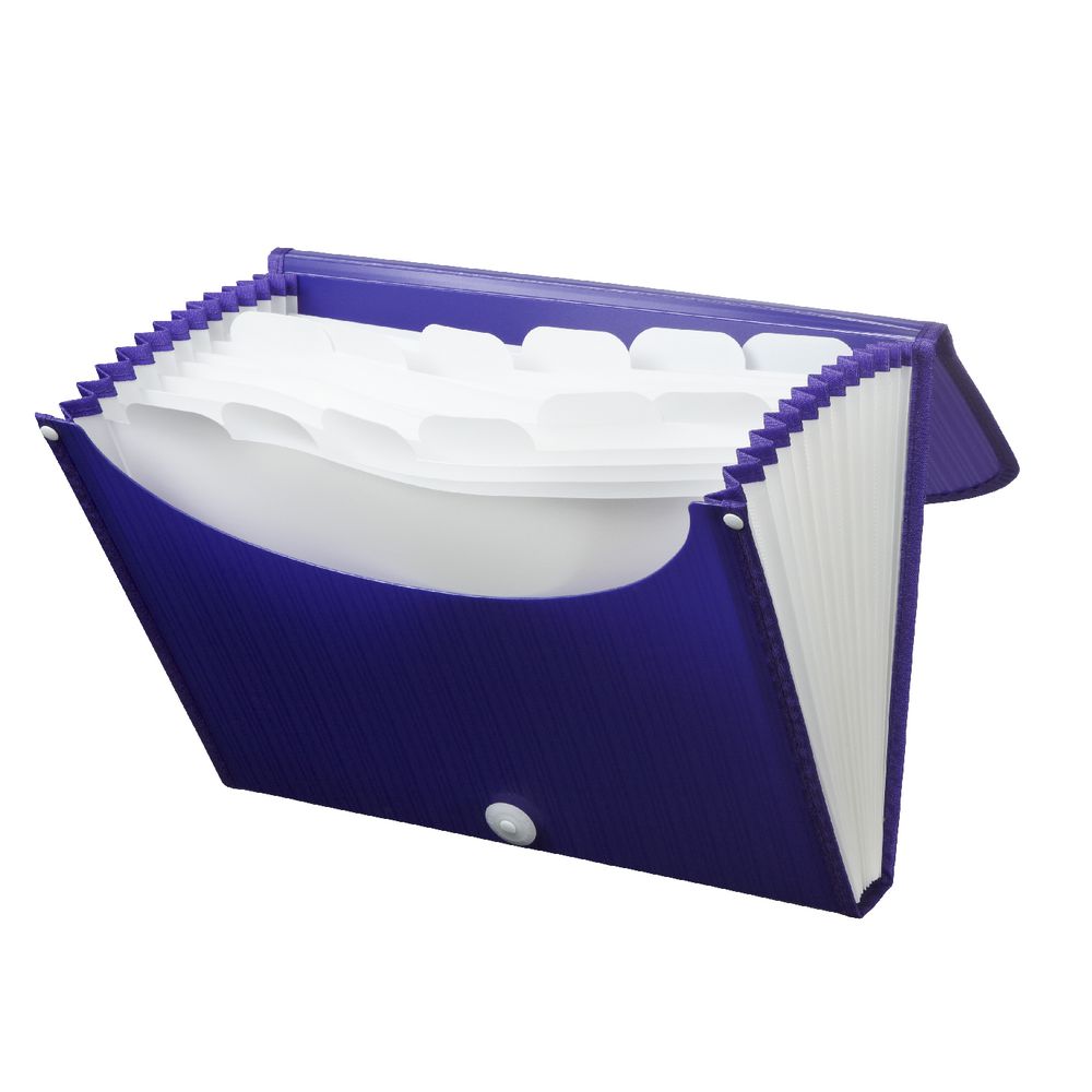 Expanding File A4 13 Pocket Violet