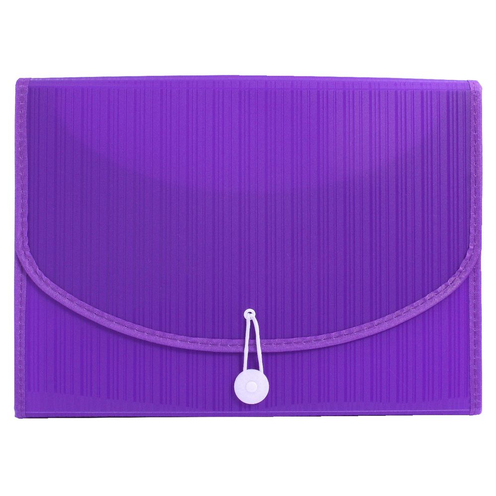 Expanding File A4 13 Pocket Violet