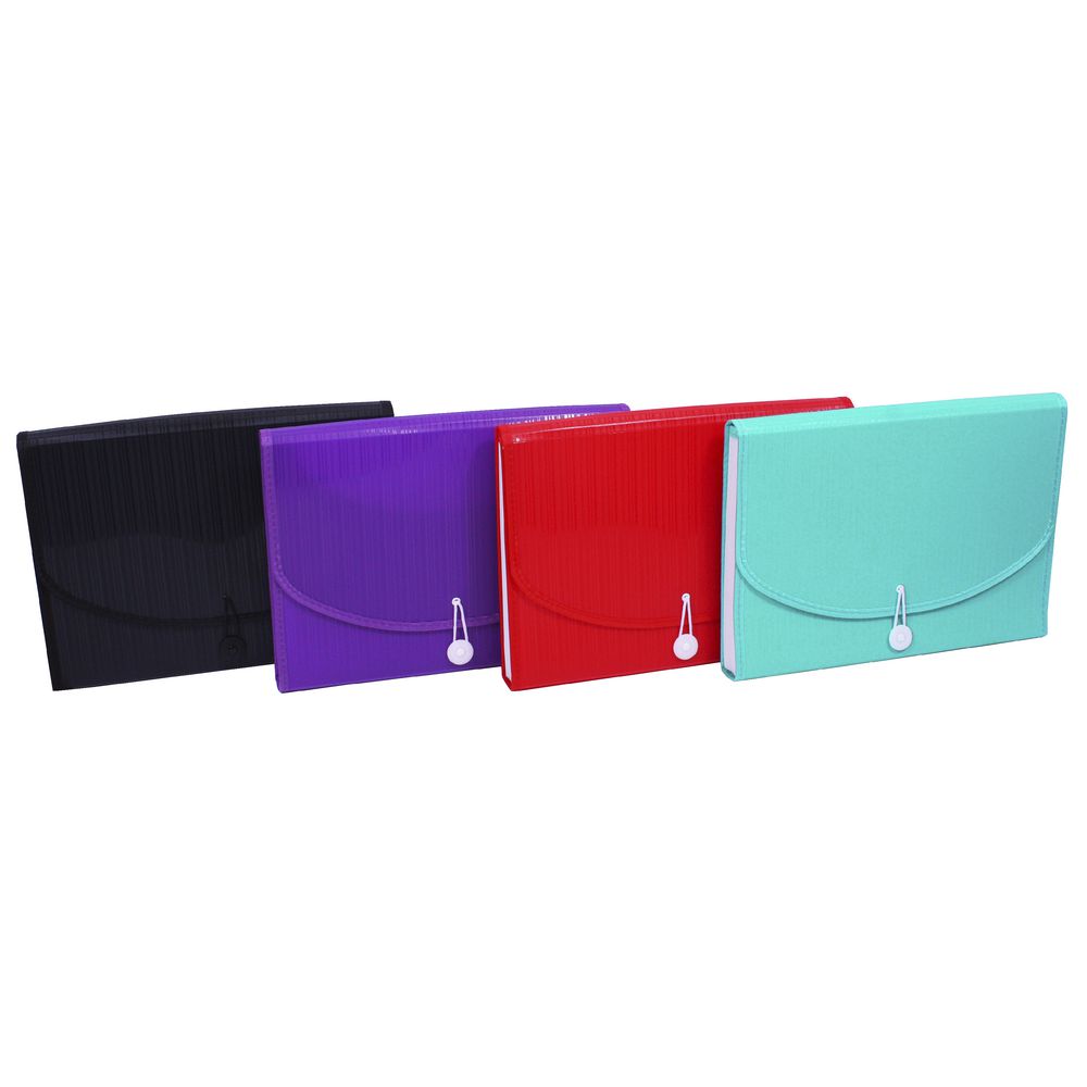 Expanding File A4 13 Pocket Black