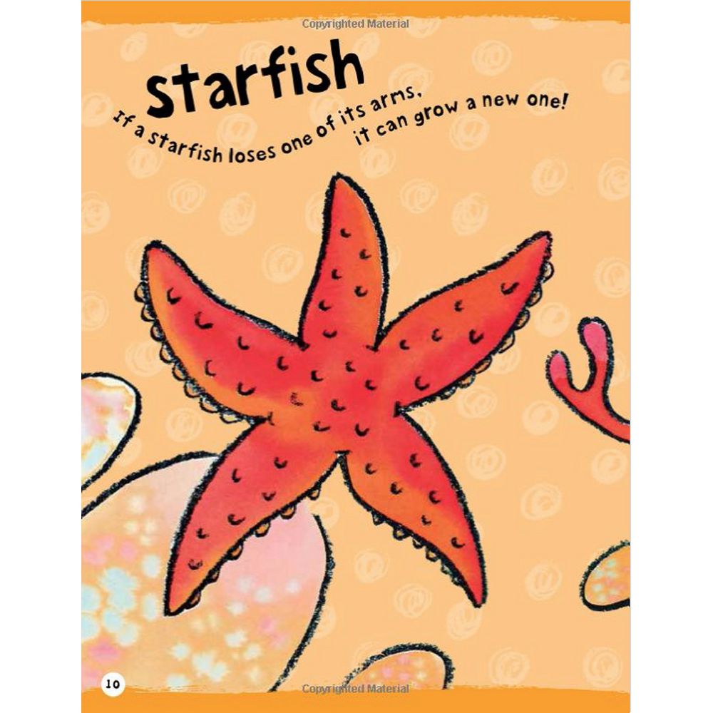 Walter Foster Jr I Can Draw Book Sea Creatures