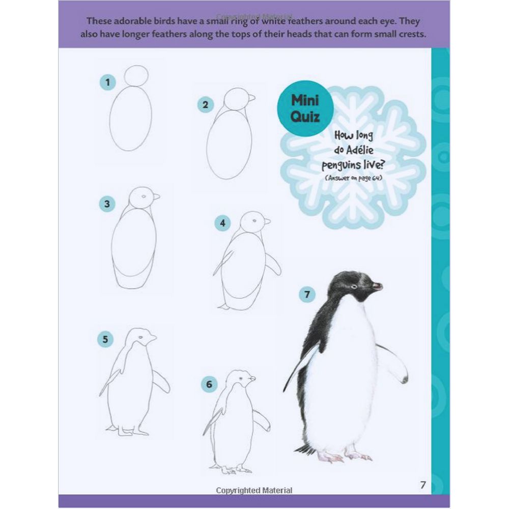 Walter Foster Jr Learn to Draw Book Polar Animals