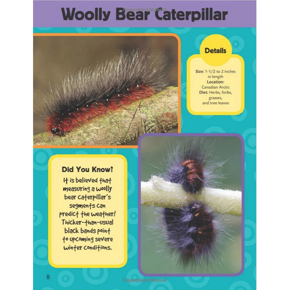 Walter Foster Jr Learn to Draw Book Polar Animals