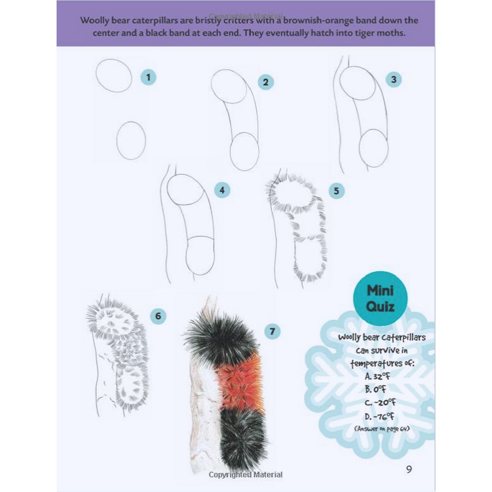 Walter Foster Jr Learn to Draw Book Polar Animals