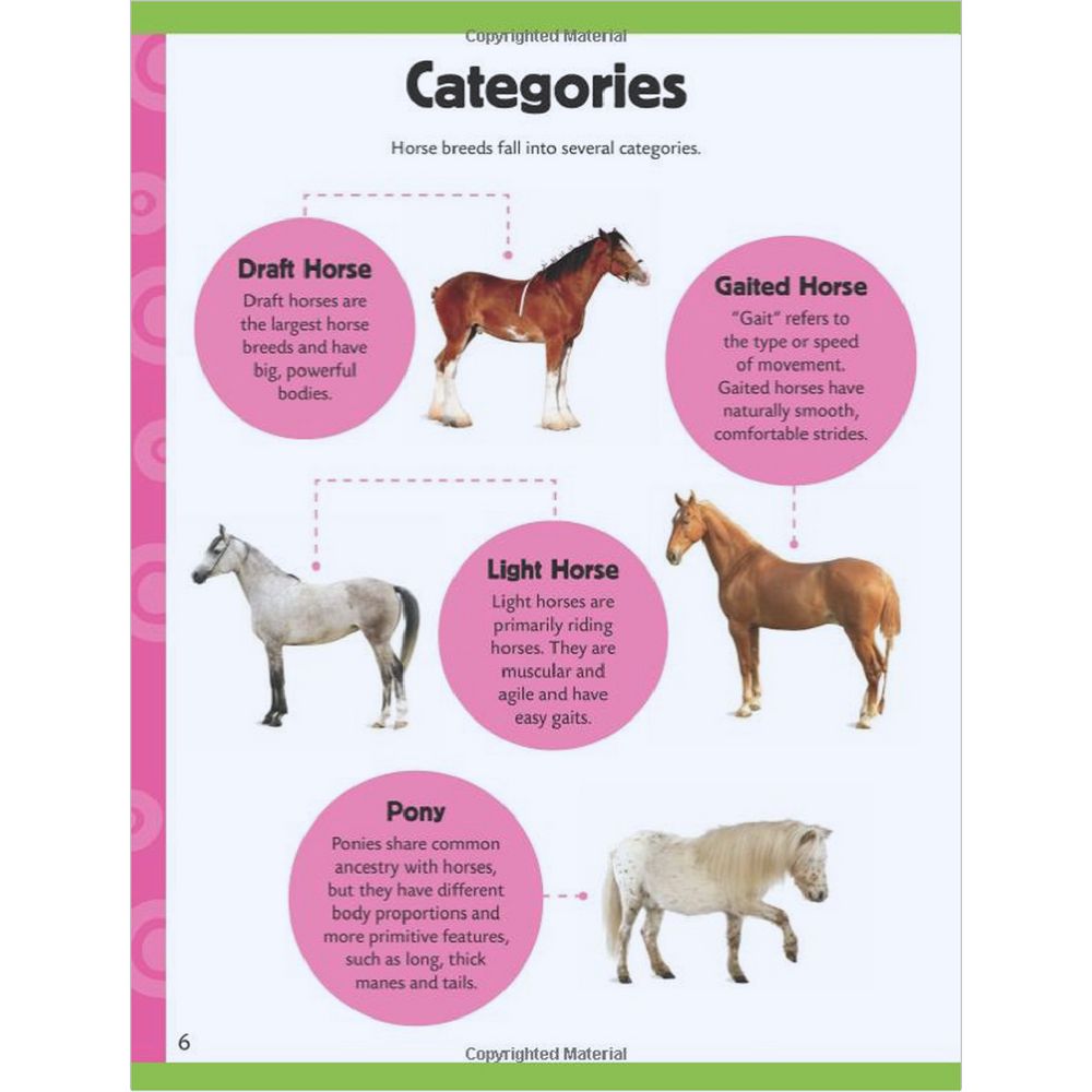 Walter Foster Jr Learn to Draw Book Horses & Ponies