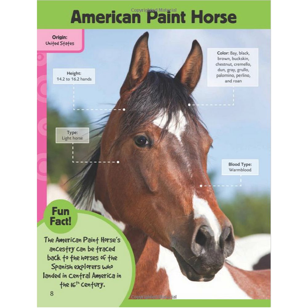 Walter Foster Jr Learn to Draw Book Horses & Ponies