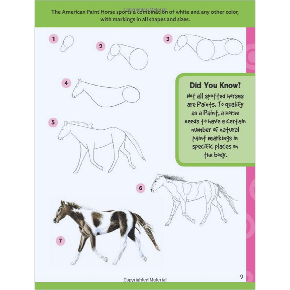 Walter Foster Jr Learn to Draw Book Horses & Ponies