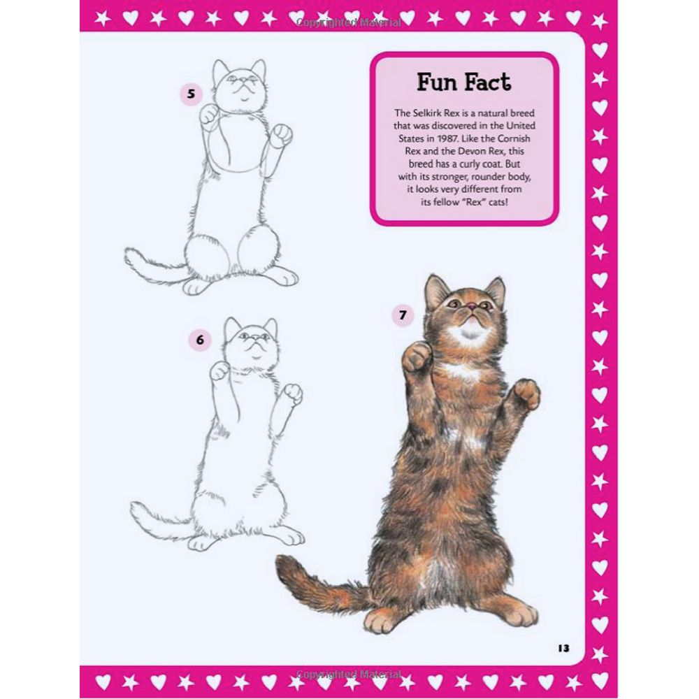 Walter Foster Jr I love Book Cats