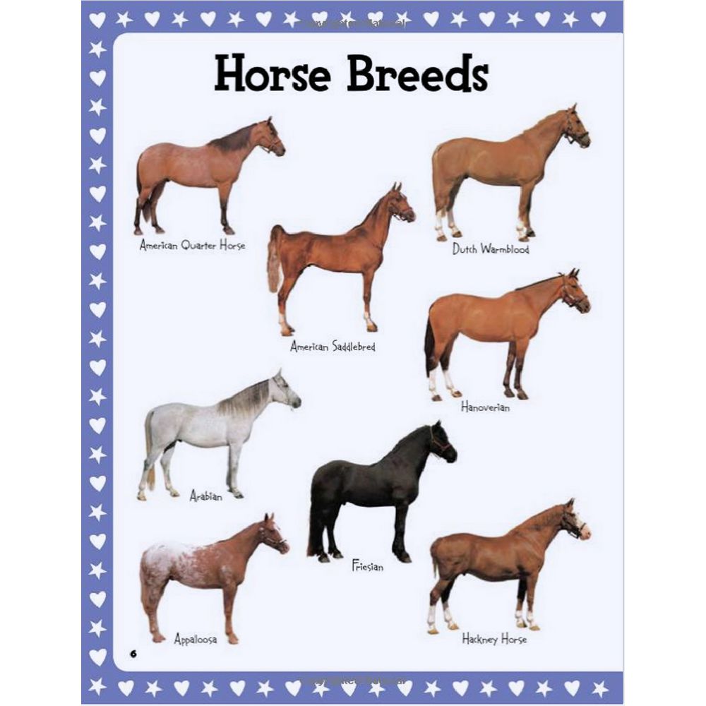 Walter Foster Jr I love Book Horses