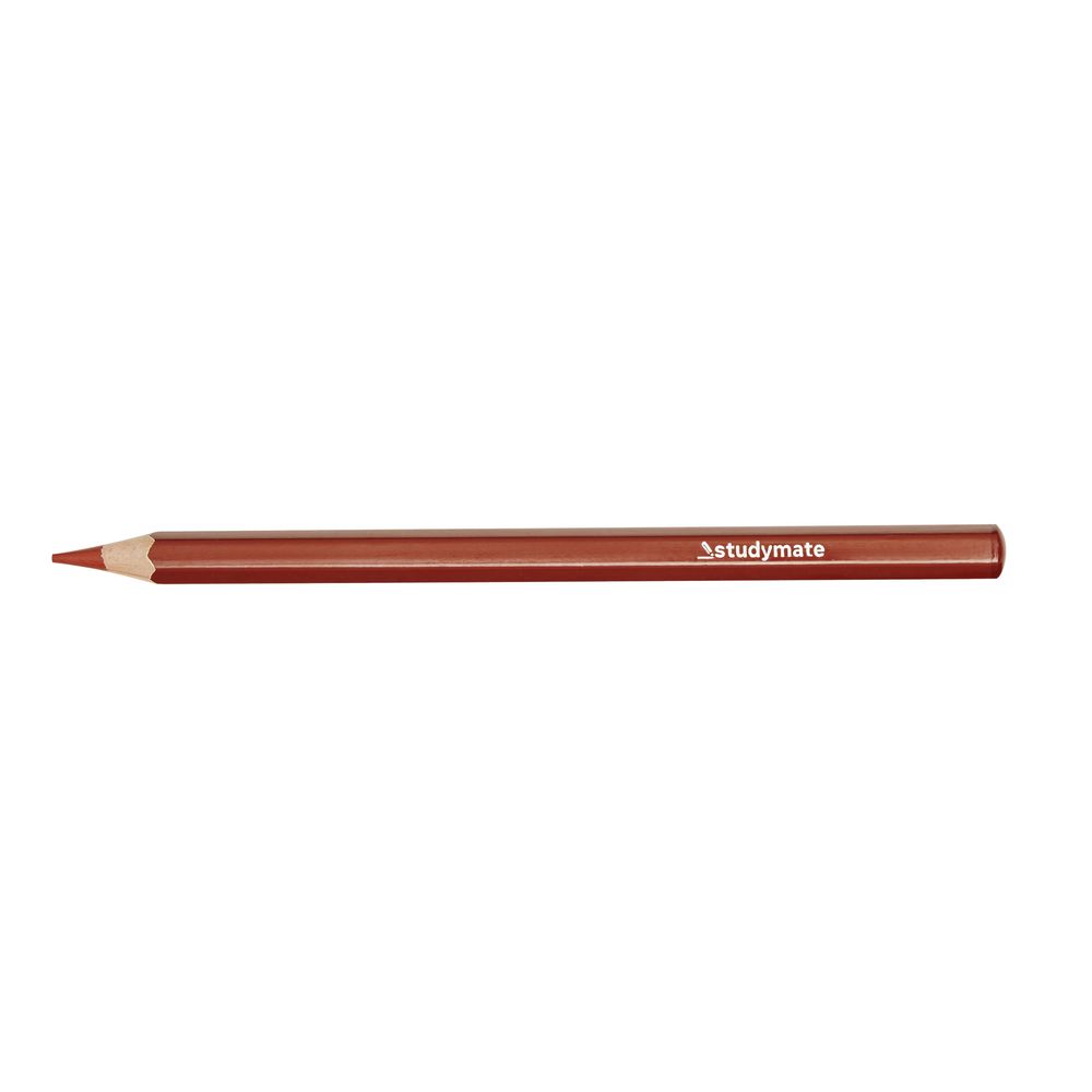 Studymate Jumbo Coloured Pencil Brown
