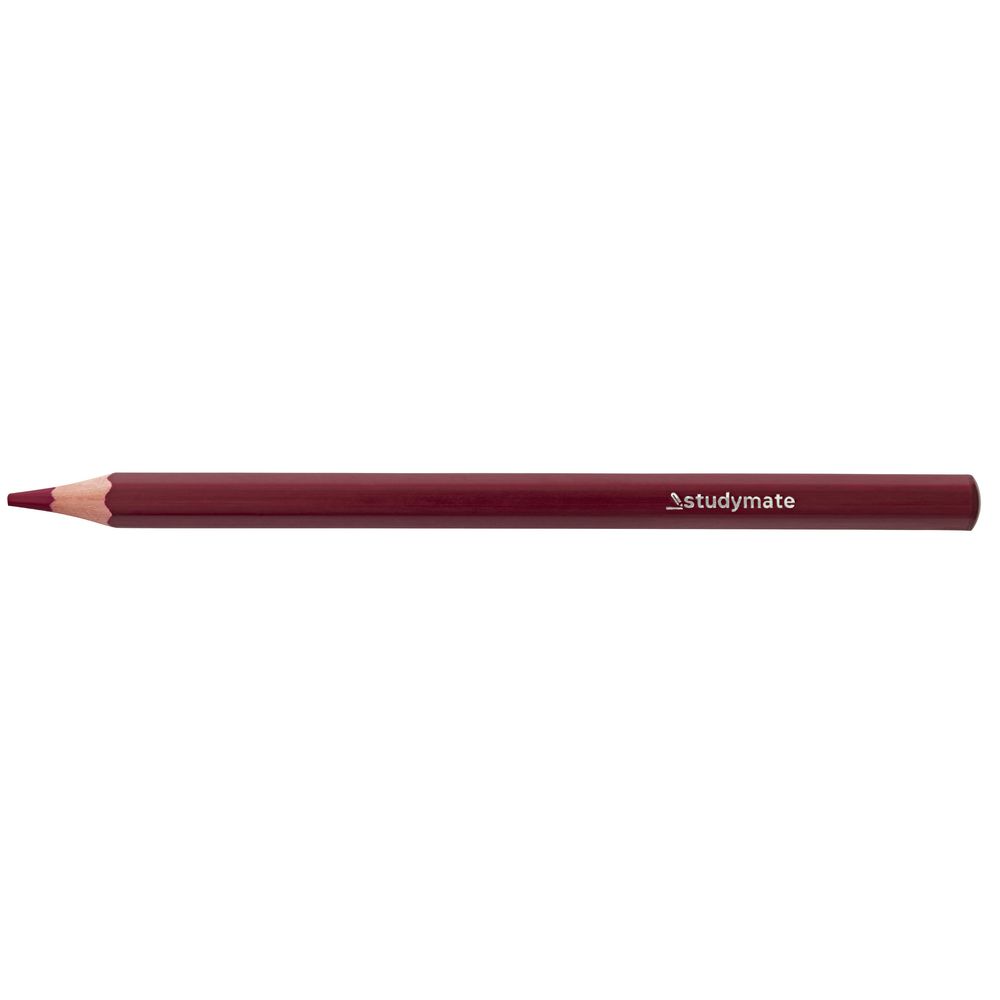 Studymate Jumbo Coloured Pencil Deep Brown