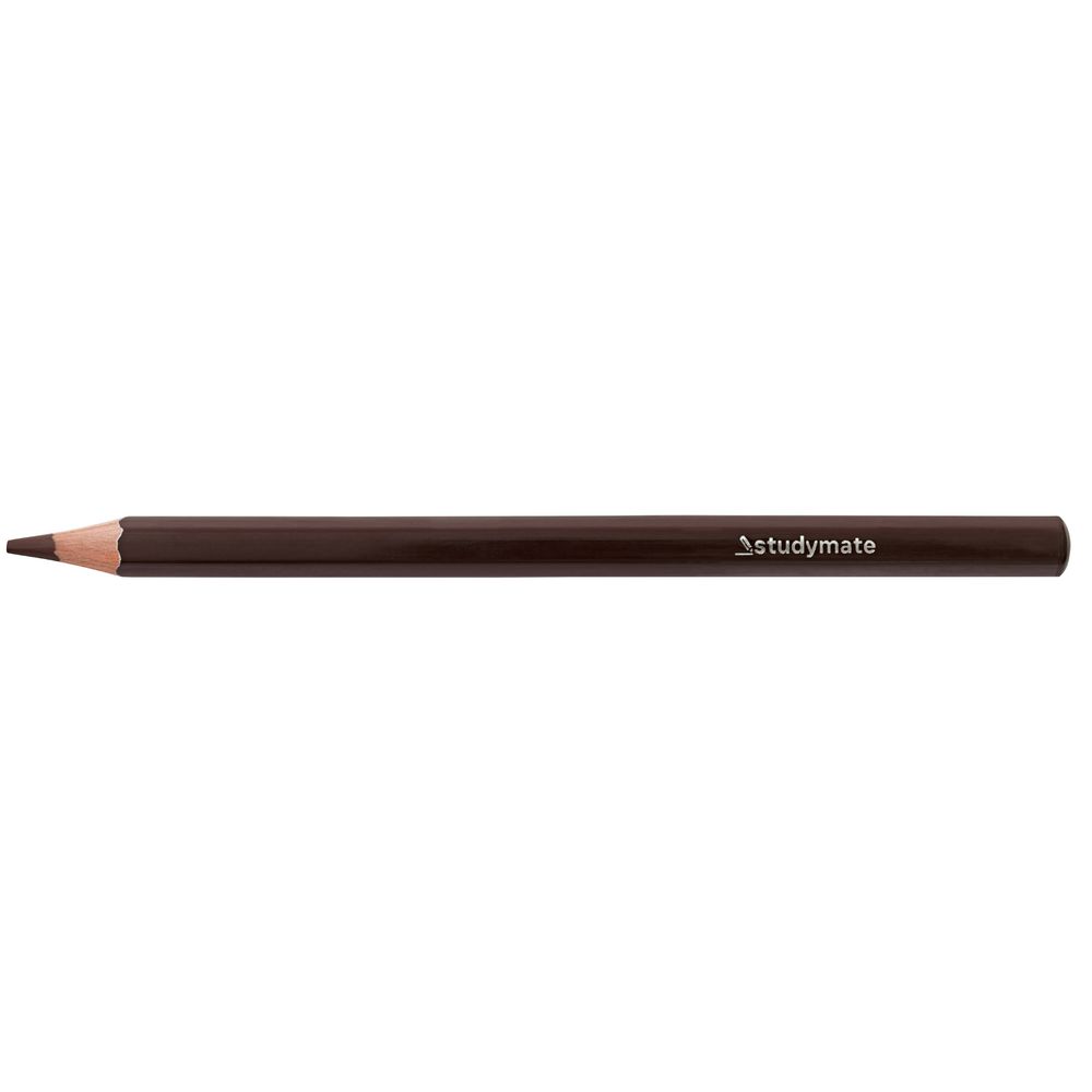Studymate Jumbo Coloured Pencil Coffee