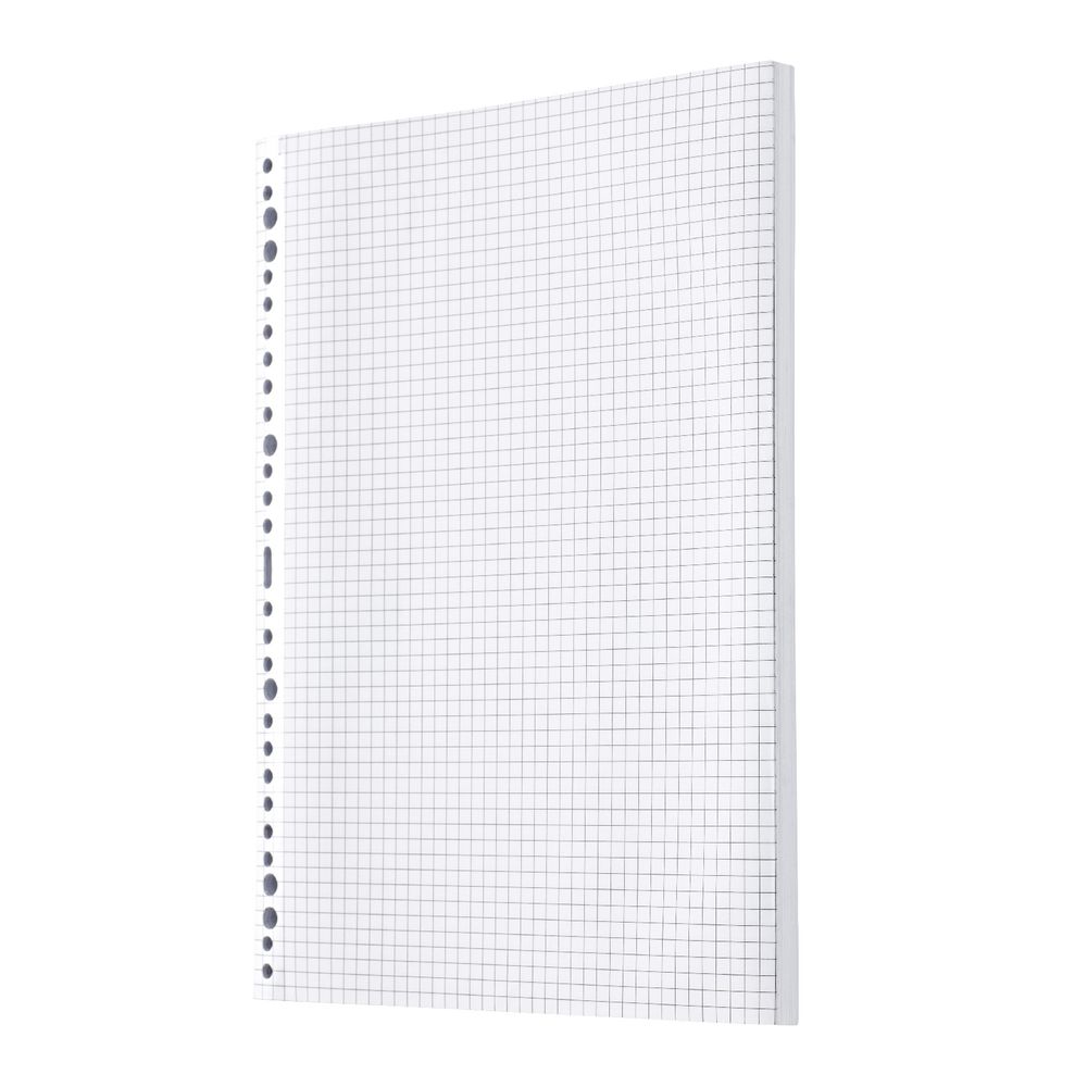 X A4 Grid Loose Leaf Refills 100 Pack