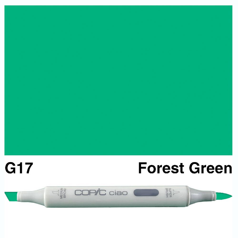 Copic Ciao Dual Nib Marker G17 Forest Green
