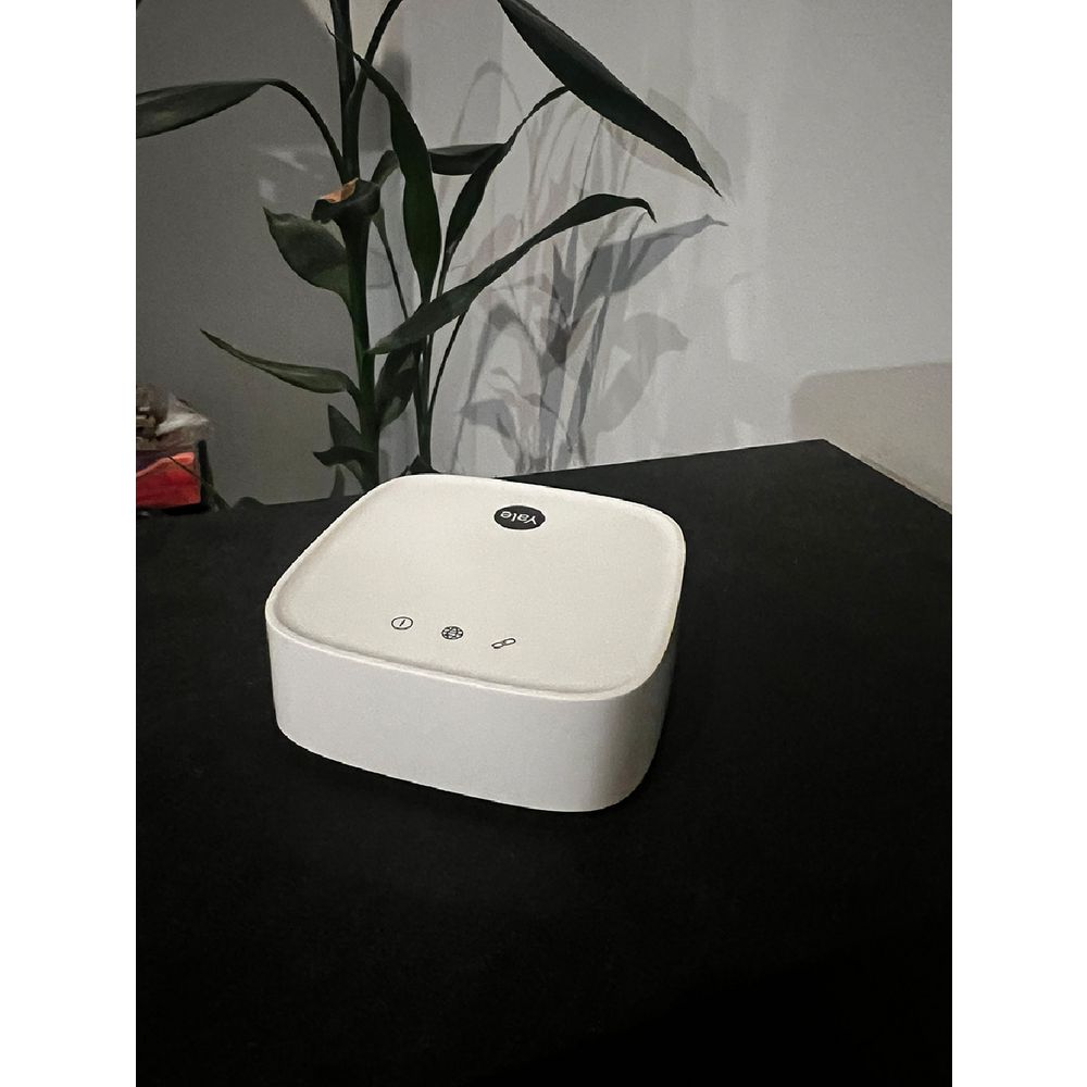 Image 4