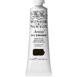 Colour-Ivory Black