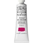 Colour-Permanent Rose
