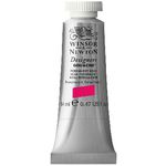 Colour-Permanent Rose
