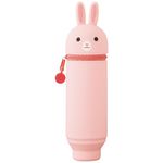 Colour-Pink Rabbit