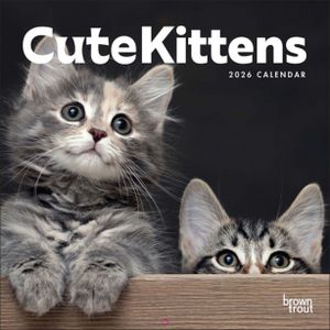 Brown Trout 2026 Cute Kittens Square Wall Calendar