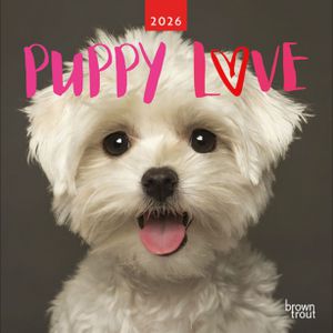 Brown Trout 2026 Puppy Love Square Wall Calendar