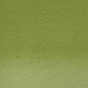 Colour-Olive Green