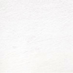 Colour-Chinese White