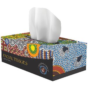 Cultural Choice Facial Tissues 2 Ply 200 Sheets 1 Box