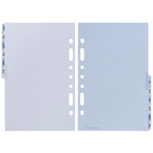 Collins Dayplanner Desk Organiser Jan-Dec Tabs Refill
