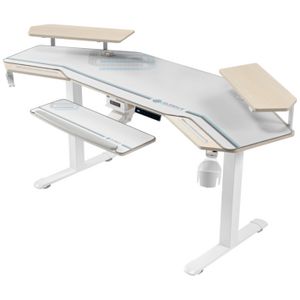Eureka Wing-Shaped Sit Stand Desk White