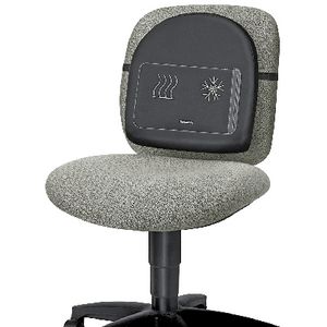 Fellowes Heat and Soothe Back Support