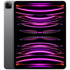 iPad本体 Mac Pro Apple 2022 12.9-inch iPad Pro (Wi-Fi, 512GB) - Silver (6th