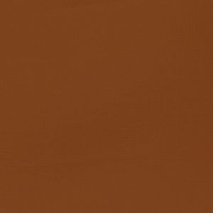 Colour-Raw Sienna