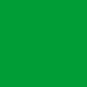 Colour-Light Green Permanent