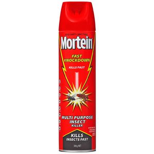 Mortein Fast Knockdown Spray 300gm